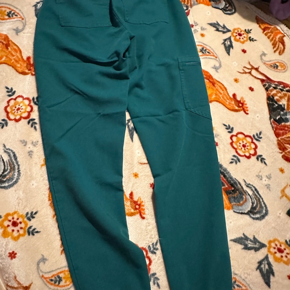 Hunter Green Jogger Style FIGS
Like new
No tears, stains, holes